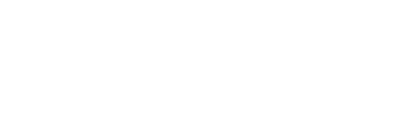 HEXN Logo