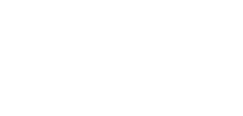 Pyra logo