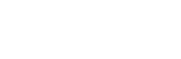 Stoic AI logo